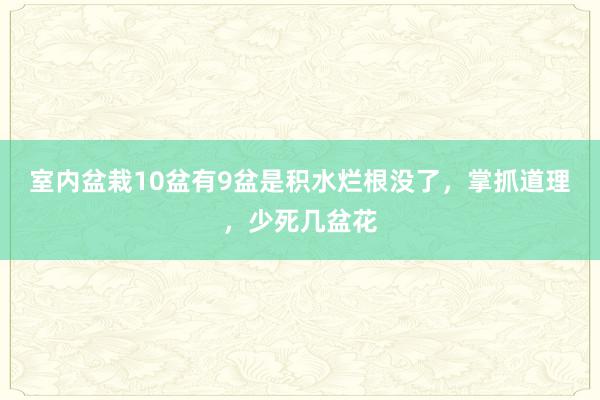 室内盆栽10盆有9盆是积水烂根没了，掌抓道理，少死几盆花